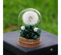 Pissenlit dans un Bocal - Souhait Exaucé,Véritable Pissenlit,Préservé à Vie,Fait à la Main - Idée Cadeau pour Femmes,Amie - Cadeau pour Anniversaire,Mariage,Noël,Décoration en Verre,Porte-Bonheur