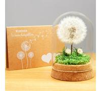 Pissenlit dans un verre - Idée cadeau spéciale, cadeau d'anniversaire pour femme, porte-bonheur et petit cadeau pour petite amie, cadeau décoratif dans un verre, cadeau floral