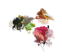 Pissente Faisceaux de Fleurs Séchées, Kit de Matériaux de Fabrication de Fleurs Artificielles pour la Décoration de la Maison, avec des Séchées pour L'artisanat, Mariage, F