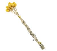 Pissente Fleurs Séchées Décoratives, Multifonctionnelles, Large Application, Naturelles et Durables, pour Les Fêtes, Matériel, Fleur Séchée Jaune