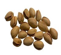 Pistache en Coque Grillée Salée Bio 500g FruitsTropicaux