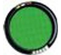 Piste 33 cm avec 5 dés et 21 jetons G