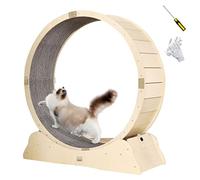 Piste recouverte de moquette, Grande Roue de Tapis Roulant pour Jouets pour Animaux de Petite et Moyenne Taille, Cadre d'escalade Robuste pour Chat (80CM(31 1/2)