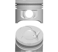 Piston Nüral 87-743100-10