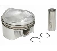 Piston MAHLE 028 PI 00125 000