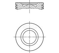 Piston MAHLE 007 PI 00170 000