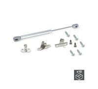 Piston de porte relevable - Emuca - Lot de 10 - 8kg - Course 100mm - Acier et Plastique