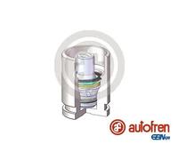 AUTOFREN SEINSA D025698K Piston, étrier de frein