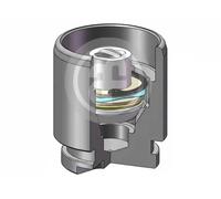 Piston d'étrier de frein Essieu arrière D025119K AUTOFREN SEINSA pour MAZDA
