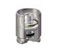 Piston d'étrier de frein Essieu arrière D025120K AUTOFREN SEINSA pour ROVER MG