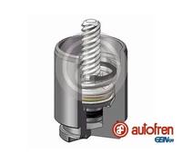 Piston d'étrier de frein Essieu arrière D025267K AUTOFREN SEINSA pour MAZDA