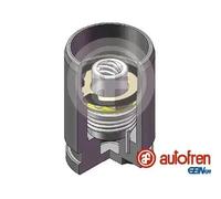 Piston d'étrier de frein Essieu arrière D025340K AUTOFREN SEINSA pour MITSUBISHI