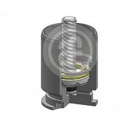 Piston d'étrier de frein Essieu arrière D025363LK AUTOFREN SEINSA pour ABARTH