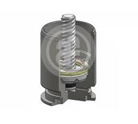 Piston d'étrier de frein Essieu arrière D025363RK AUTOFREN SEINSA pour ABARTH