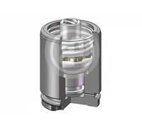 Piston d'étrier de frein Essieu arrière D025417K AUTOFREN SEINSA pour PEUGEOT