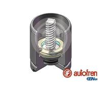 Piston d'étrier de frein Essieu arrière D025529K AUTOFREN SEINSA pour HONDA