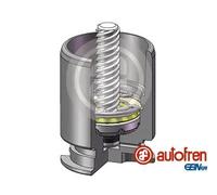 AUTOFREN SEINSA D02554RK Piston, étrier de frein