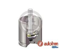 Piston d'étrier de frein Essieu arrière D025682K AUTOFREN SEINSA pour OPEL