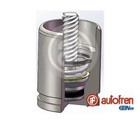 Piston d'étrier de frein Essieu arrière D025742K AUTOFREN SEINSA pour MINI MINI