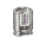 Piston d'étrier de frein Essieu arrière D025787K AUTOFREN SEINSA pour HYUNDAI