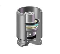 Piston d'étrier de frein Essieu arrière D02594K AUTOFREN SEINSA pour NISSAN BMW