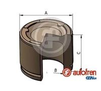 Piston d'étrier de frein Essieu avant Acier D025593 AUTOFREN SEINSA
