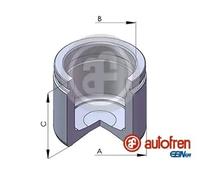 Piston d'étrier de frein Essieu avant Acier D02579 AUTOFREN SEINSA pour CHRYSLER