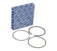 Piston et anneaux 800110410025