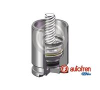 Piston d'étrier de frein Essieu arrière D025530K AUTOFREN SEINSA pour KIA SUZUKI