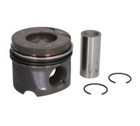 Piston MAHLE 001 PI 00107 000