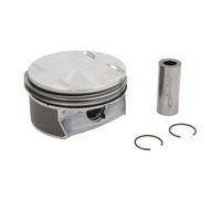 Piston MAHLE 005 24 00