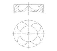Piston MAHLE 007 PI 00163 000