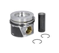 Piston MAHLE 028 PI 00116 000