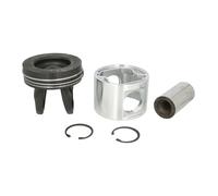 Piston MAHLE 061 PI 00128 000