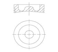 Piston MAHLE 061 PI 00129 000