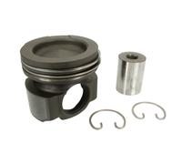 Piston MAHLE 209 73 00