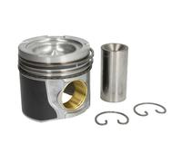 Piston MAHLE 227 PI 00141 000