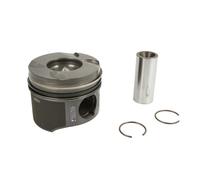 Piston NÜRAL 87-117900-00