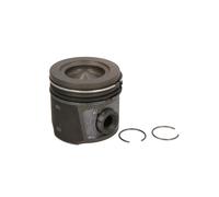 Piston Nüral 87-138006-10