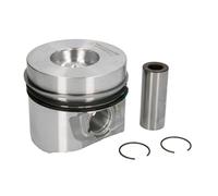 Piston Nüral 87-146500-00