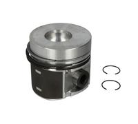 Piston Nüral 87-252507-10