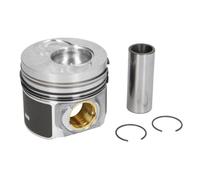 Nüral 87-421000-10 Piston