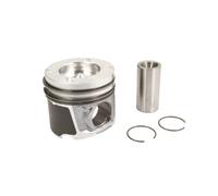 Piston NÜRAL 87-422007-00