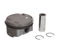Piston Nüral 87-425300-00