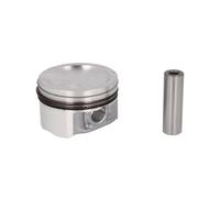 Piston Nüral 87-427100-00