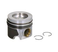 Piston Nüral 87-432300-00