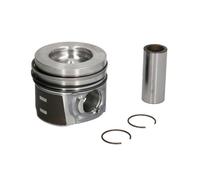 Piston Nüral 87-433607-00
