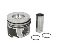 Piston Nüral 87-434307-00