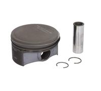 Piston Nüral 87-435500-00