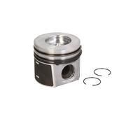 Piston NÜRAL 87-437000-10